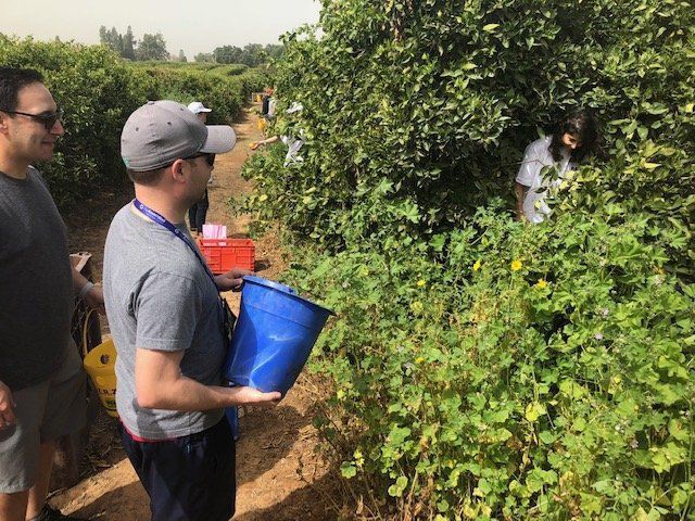 Matt Levinson during the Associated's Young Professionals trip to Israel